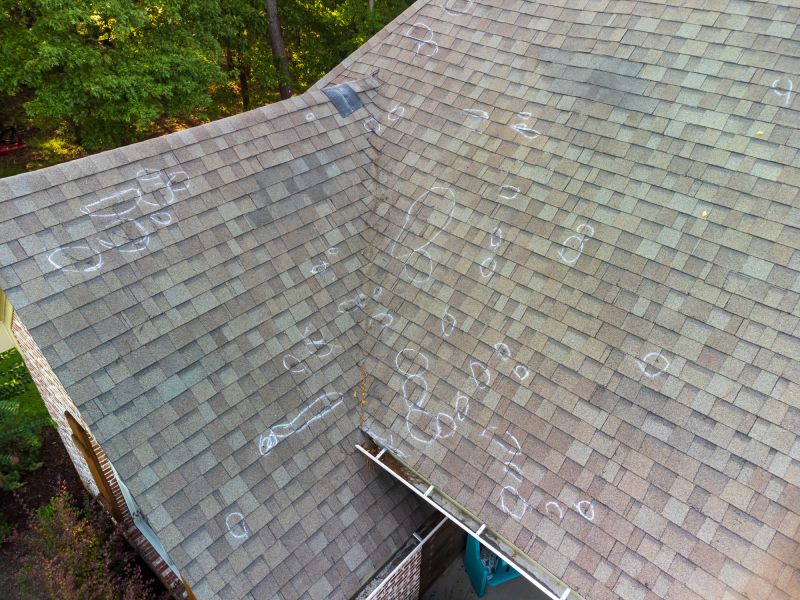 Roof Inspection and Maintenance