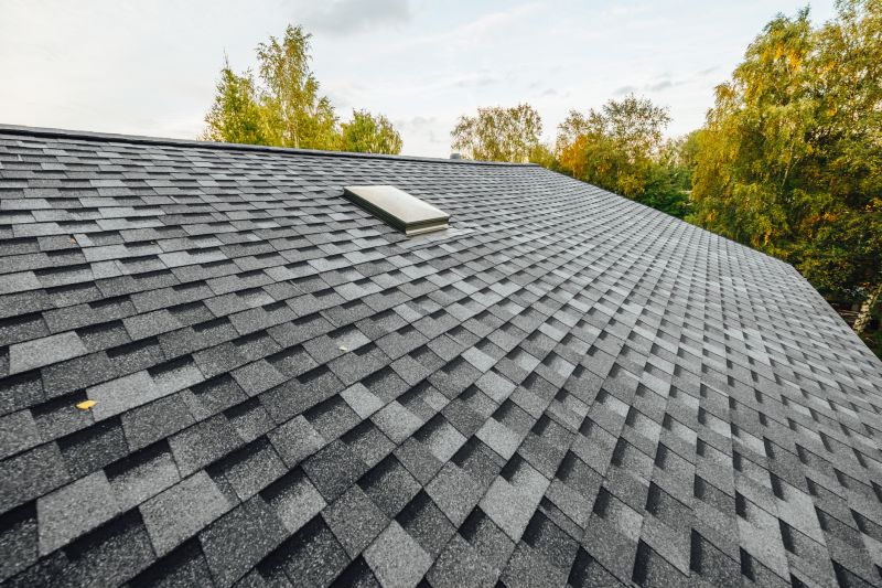 Products For Asphalt Roof Installations in use